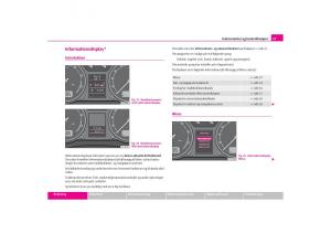 Skoda-Octavia-I-1-Bilens-instruktionsbog page 24 min