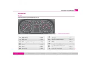 Skoda-Octavia-I-1-Bilens-instruktionsbog page 28 min