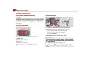 Skoda-Octavia-II-2-Bilens-instruktionsbog page 11 min