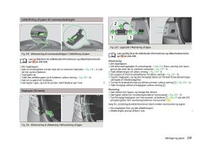 Skoda-Octavia-III-3-Bilens-instruktionsbog page 233 min