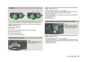 Skoda-Octavia-III-3-owners-manual page 237 min