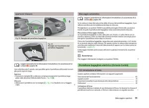 Skoda-Octavia-III-3-manuale-del-proprietario page 41 min