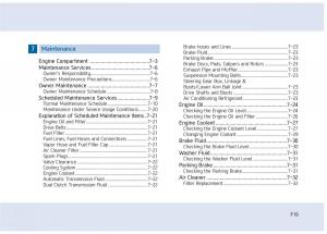 Hyundai-Sonata-VII-7-LF-i45-owners-manual page 19 min