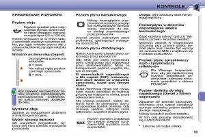 Peugeot-307-CC-instrukcja-obslugi page 98 min