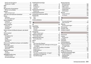 Skoda-Rapid-Handbuch page 205 min