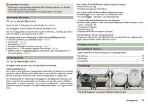 Skoda-Rapid-Bilens-instruktionsbog page 17 min