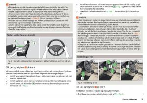 Skoda-Rapid-Bilens-instruktionsbog page 11 min