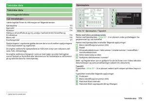 Skoda-Rapid-bruksanvisningen page 175 min