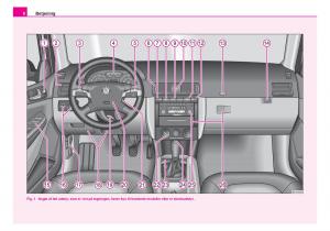Skoda-Fabia-I-1-Bilens-instruktionsbog page 9 min