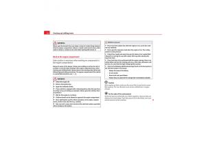 Seat-Exeo-owners-manual page 226 min