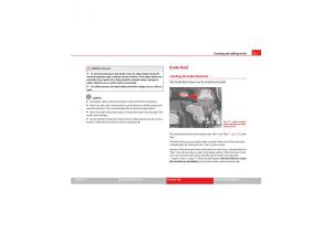 Seat-Exeo-owners-manual page 235 min