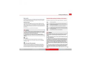 Seat-Exeo-owners-manual page 237 min