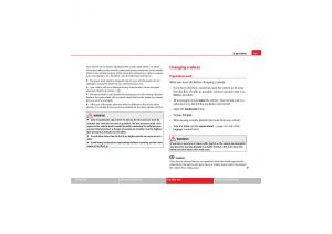 Seat-Exeo-owners-manual page 251 min