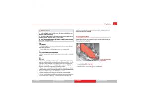 Seat-Exeo-owners-manual page 263 min