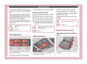 Seat-Ateca-manuale-del-proprietario page 14 min