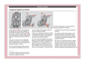 Seat-Ateca-manuale-del-proprietario page 21 min