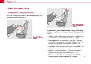 Seat-Ibiza-III-3-manuale-del-proprietario page 12 min