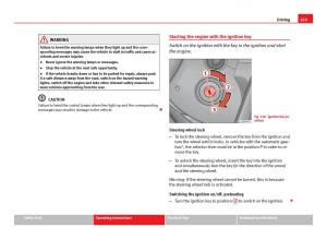Seat-Leon-III-3-owners-manual page 165 min