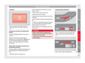 Seat-Mii-owners-manual page 115 min