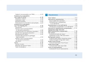 Hyundai-Tucson-III-3-manuale-del-proprietario page 21 min