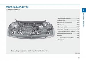 Hyundai-i20-II-2-owners-manual page 18 min