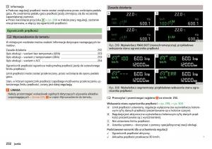 Skoda-Kodiaq-instrukcja-obslugi page 254 min