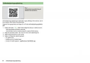 Skoda-Kodiaq-Bilens-instruktionsbog page 10 min