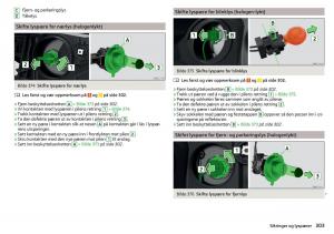 Skoda-Kodiaq-bruksanvisningen page 305 min