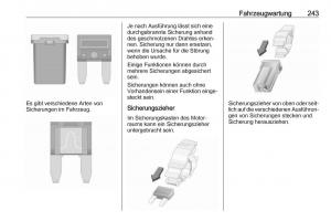 Opel-Zafira-C-FL-Handbuch page 245 min