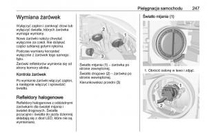 Opel-Zafira-C-FL-instrukcja-obslugi page 249 min