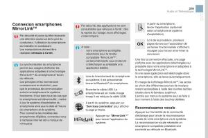 DS3-manuel-du-proprietaire page 321 min
