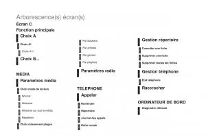 DS4-manuel-du-proprietaire page 414 min