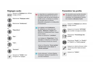 DS5-manuel-du-proprietaire page 482 min