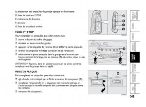 Fiat-Idea-manuel-du-proprietaire page 246 min