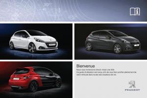 Peugeot-208-FL-manuel-du-proprietaire page 3 min