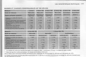 manual--Peugeot-407-manuel-du-proprietaire page 178 min