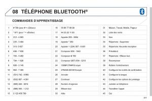 Peugeot-4008-manuel-du-proprietaire page 313 min