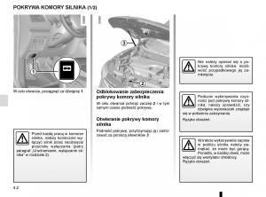 Renault-Koleos-II-2-instrukcja-obslugi page 246 min