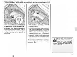 Renault-Koleos-II-2-instrukcja-obslugi page 249 min