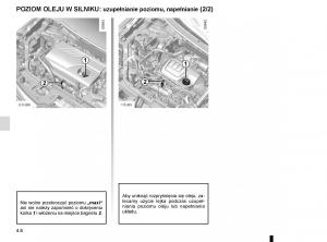 Renault-Koleos-II-2-instrukcja-obslugi page 250 min