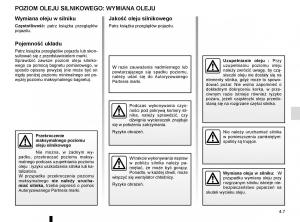Renault-Koleos-II-2-instrukcja-obslugi page 251 min