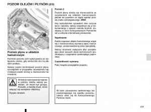 Renault-Koleos-II-2-instrukcja-obslugi page 253 min