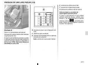 Renault-Koleos-II-2-manualul proprietarului page 255 min