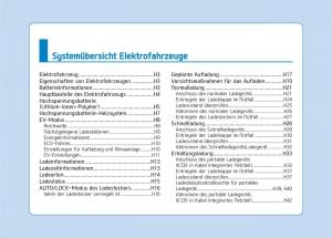 Hyundai-Ioniq-Electric-Handbuch page 10 min