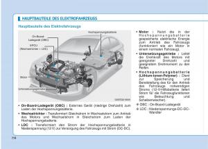 Hyundai-Ioniq-Electric-Handbuch page 13 min