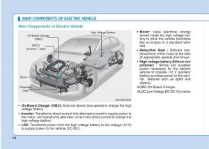 Hyundai-Ioniq-Electric-owners-manual page 11 min