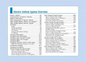 Hyundai-Ioniq-Electric-owners-manual page 8 min