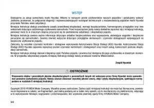 Hyundai-Ioniq-Electric-instrukcja-obslugi page 6 min