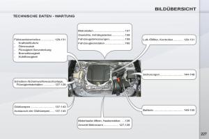 Bedienungsanleitung-Peugeot-4007-Handbuch page 229 min