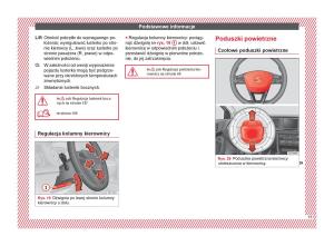 Seat-Ateca-instrukcja-obslugi page 17 min